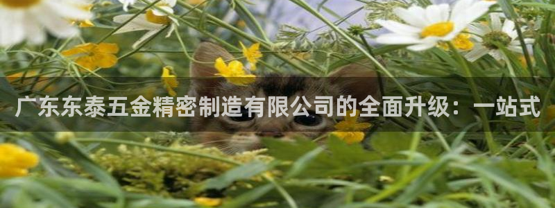 恒行开户全2O5o5O