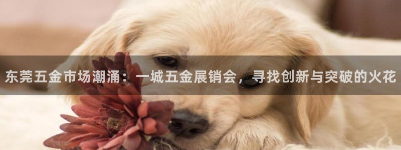 恒行娱乐芍皇74ooo5蛹