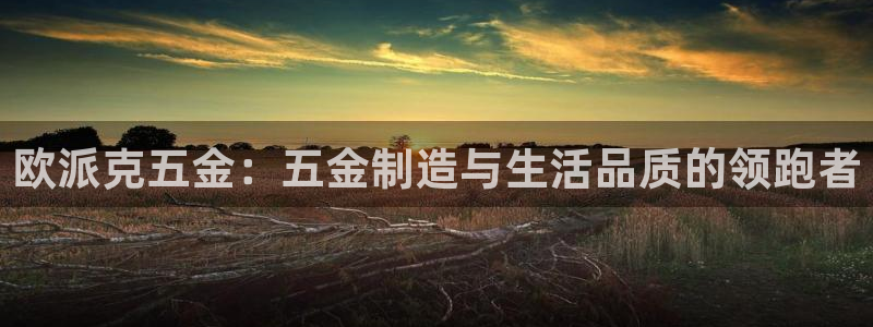 恒行主管总代6ll5l周至