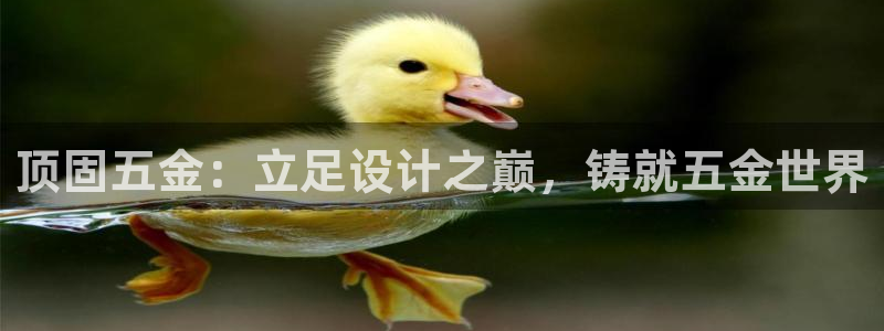 恒行开户全2O5o5O