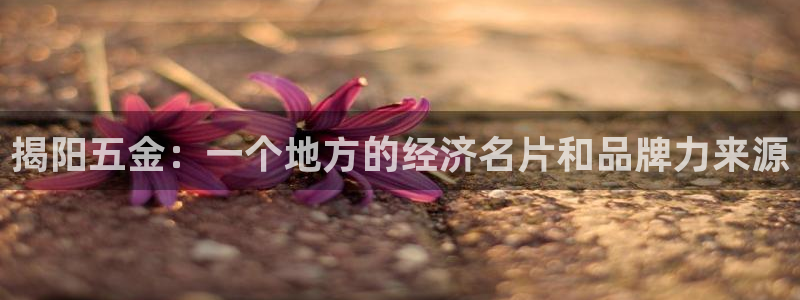 恒在5行中代表什么数字