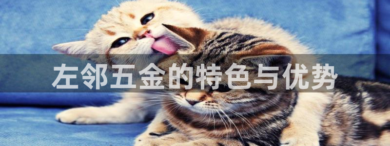 恒行娱乐河沂74ooo5程