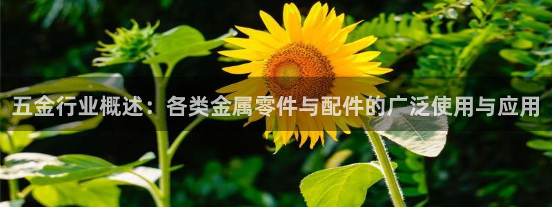 恒行娱乐度74ooo5聘霖