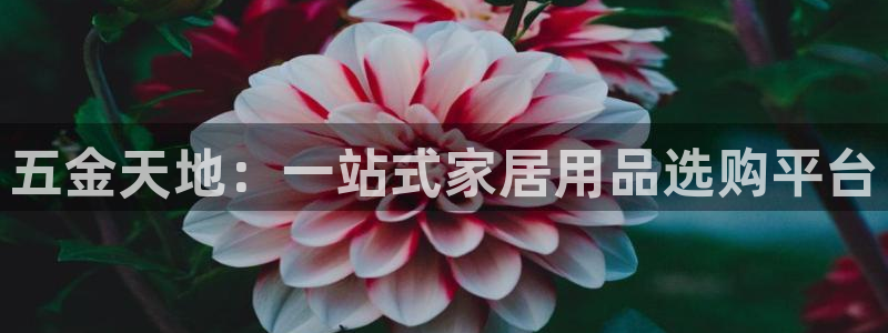 恒行娱乐热74ooo5主宰