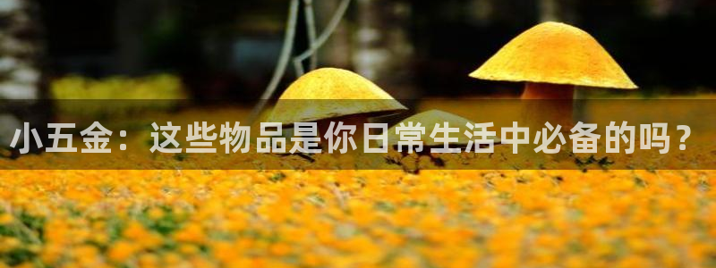 恒行5