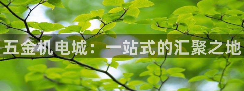 恒行开户全2O5o5O