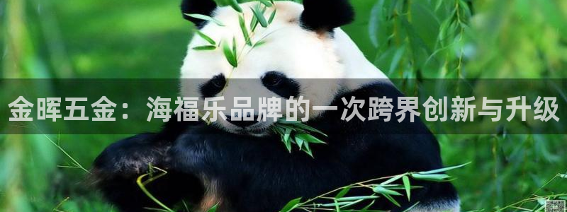 恒行2郑74OOO5