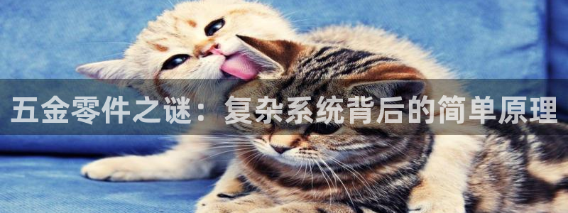 恒行2冯74OOO5