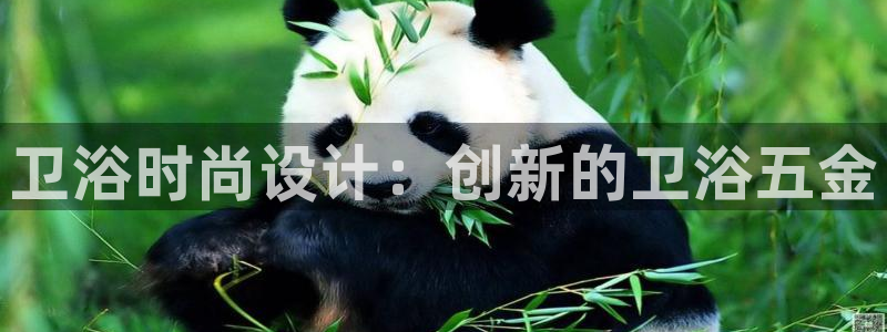 恒行主管6ll5l指定