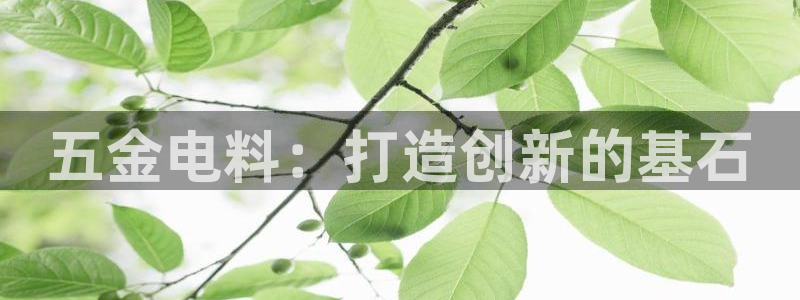 恒行娱乐河沂74ooo5程