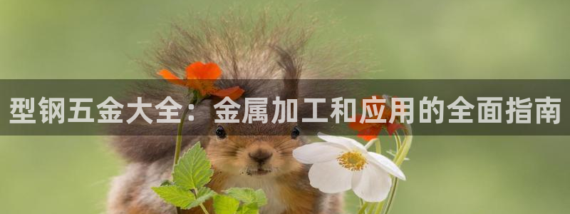 恒行娱乐5ll533主管正直