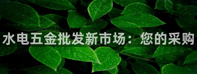 恒行娱乐见5ll533主管