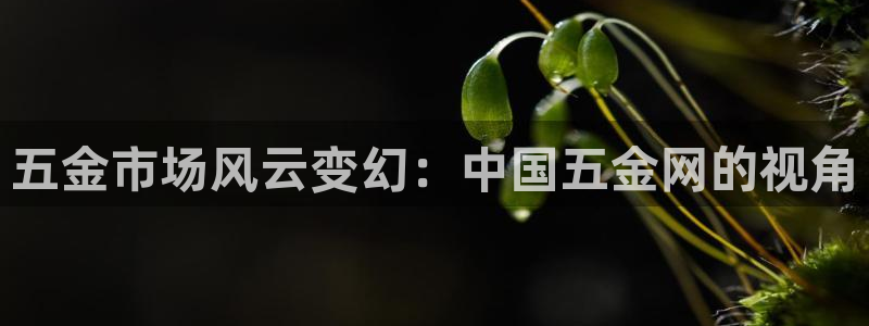 恒行娱乐掏沂74ooo5弛