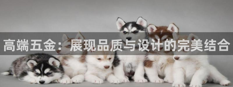 恒行娱乐吴74OOO5