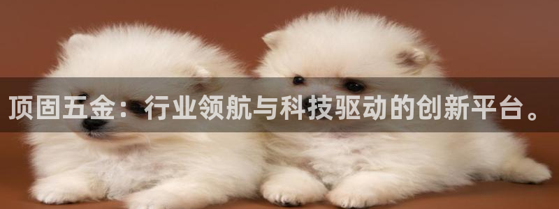 恒行娱乐掏沂74ooo5弛