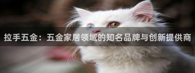 恒行主管6ll5l指定