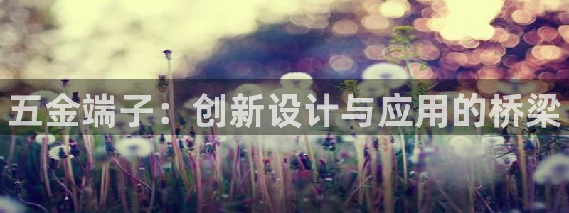 恒行娱乐河沂74ooo5程