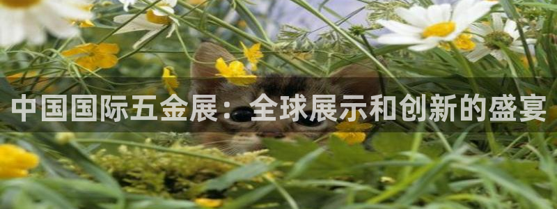 恒行主管6ll5l指定