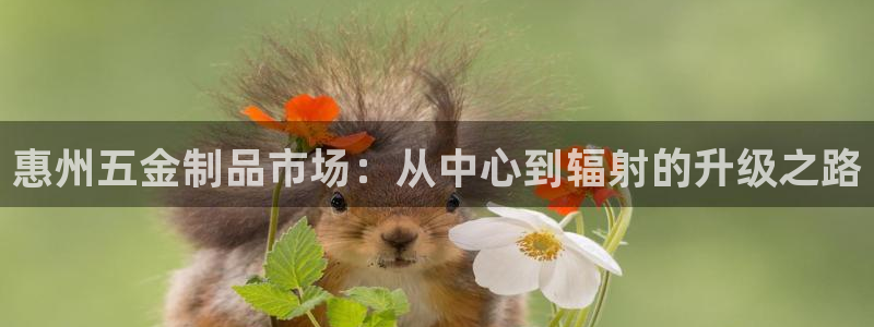 恒行主管总代6ll5l周至