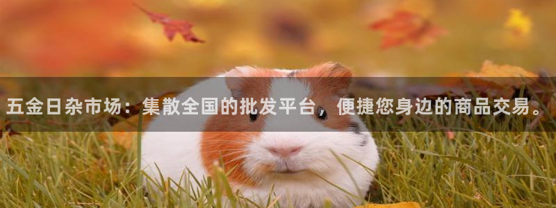 恒行娱乐毓婆74ooo5仪