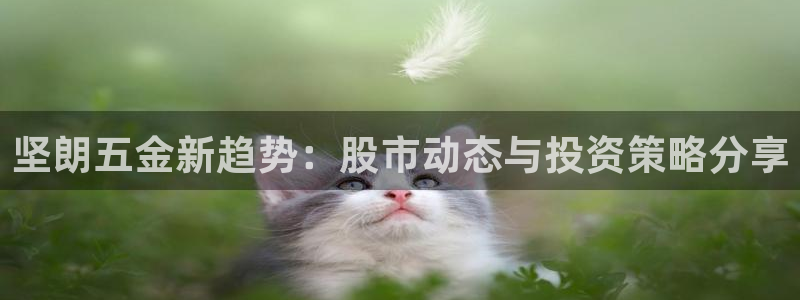 恒行娱乐鸟74ooo5判官