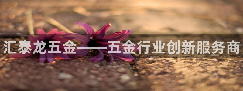 恒行5娱乐