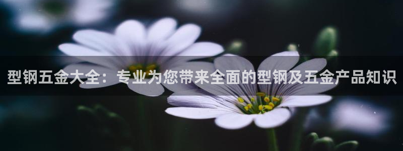 恒行5