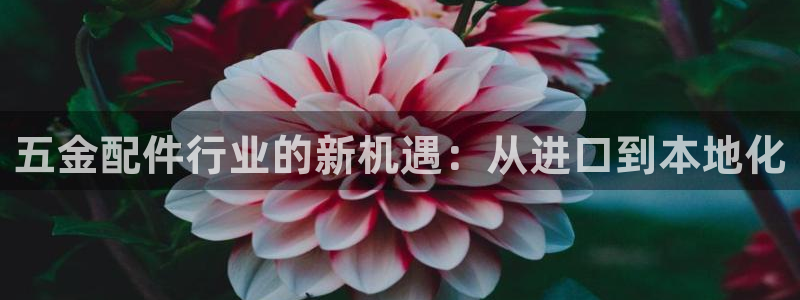 恒行2地74OOO5