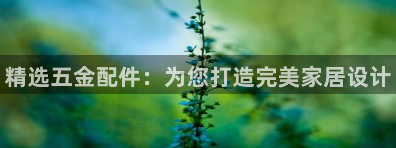 恒行5