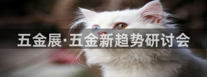 恒行娱乐陈74OOO5