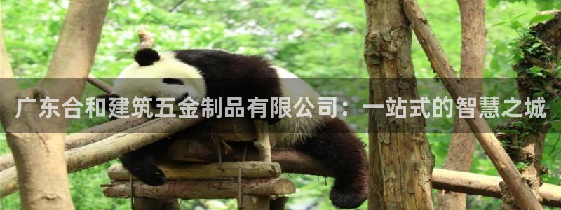 恒行娱乐吕74OOO5