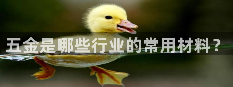 恒行主管6ll5l指定
